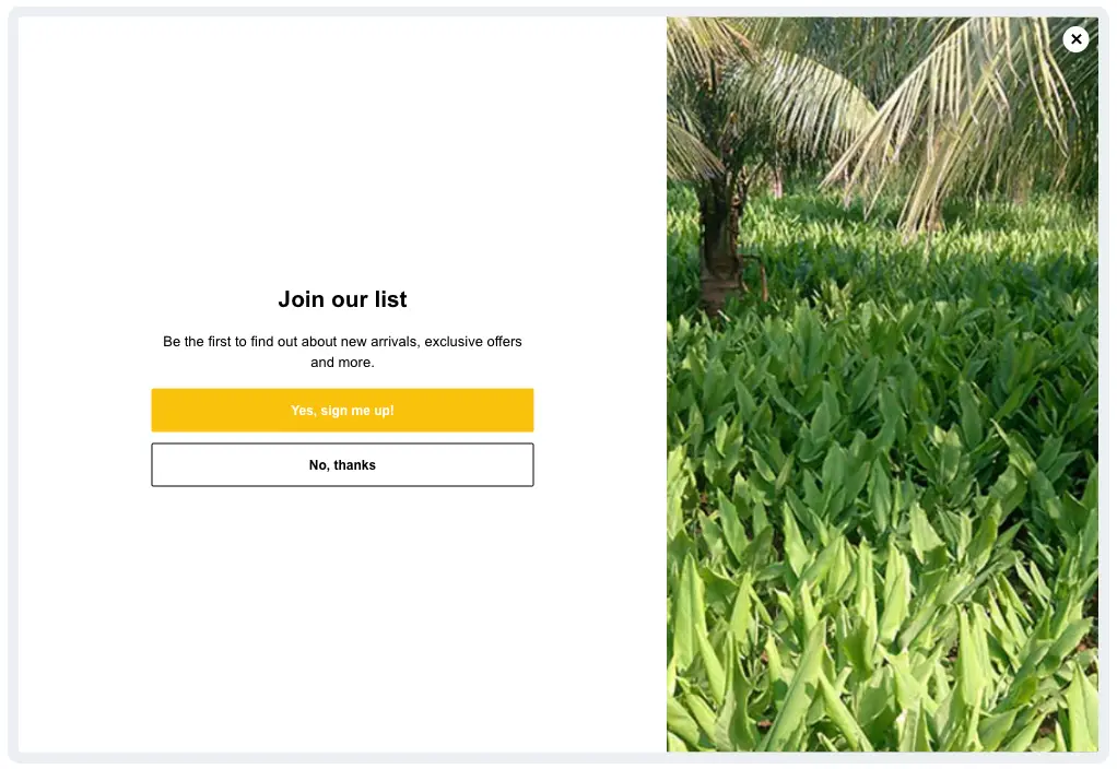release-featured-image